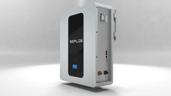 Seplos ODM OEM 48V 100ah Un38.3 MSDS LiFePO4 리튬 이온 배터리 태양계용 에너지 저장 배터리